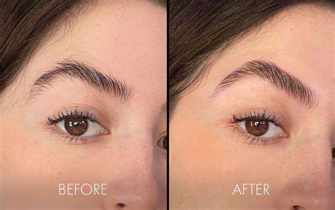 FinishingTouches:SettingYourBrowLookforAll-DayPerfection