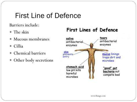 ChoosingBreathableFabrics:YourFirstLineofDefense