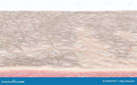 Exfoliation:RemovingDeadSkinCells