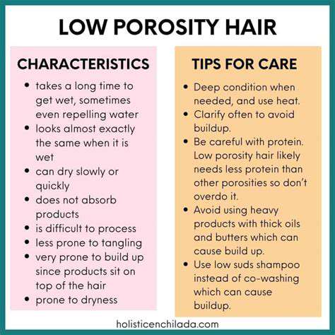 Guide to Caring for Low Porosity Hair
